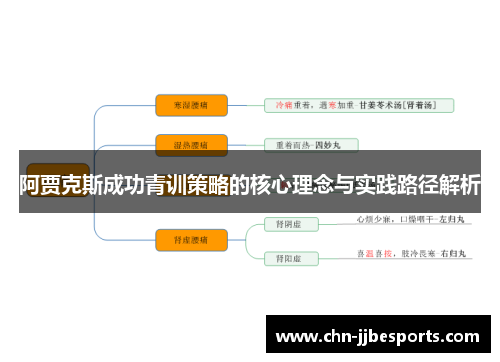 阿贾克斯成功青训策略的核心理念与实践路径解析