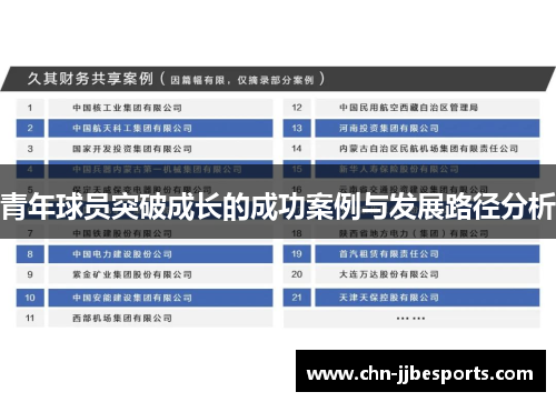 青年球员突破成长的成功案例与发展路径分析